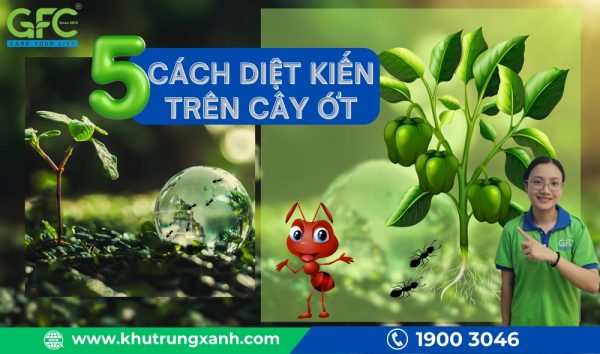 5 Cách diệt kiến trên cây ớt đơn giản, hiệu quả nhanh chóng