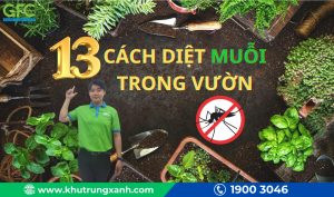 13 Cách diệt muỗi trong vườn vô cùng hiệu quả