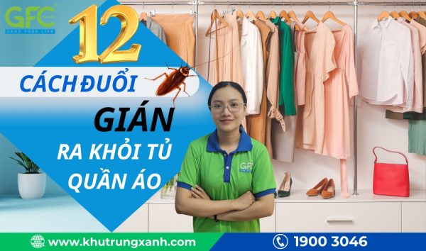 12 Cách đuổi gián khỏi tủ quần áo đơn giản, hiệu quả tại nhà