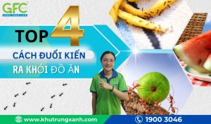 4 cách đuổi kiến ra khỏi đồ ăn đơn giản, hiệu quả và an toàn