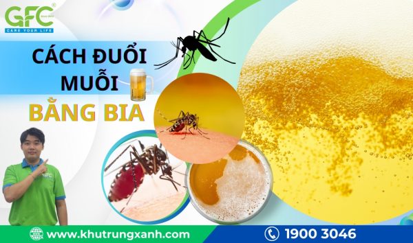 Cách đuổi muỗi bằng bia tại nhà hiệu quả đến bất ngờ