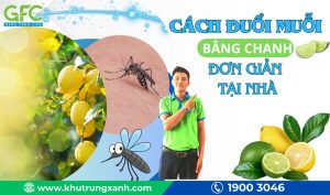 Cách đuổi muỗi bằng chanh đơn giản và hiệu quả tại nhà