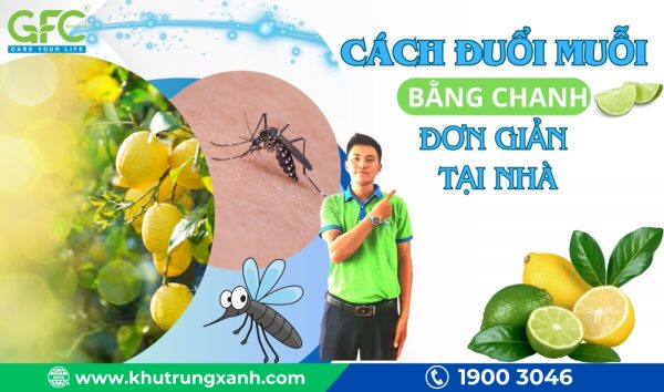 Cách đuổi muỗi bằng chanh đơn giản và hiệu quả tại nhà