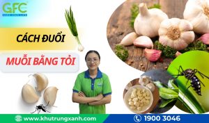 Cách đuổi muỗi bằng tỏi vô cùng đơn giản và hiệu quả tại nhà