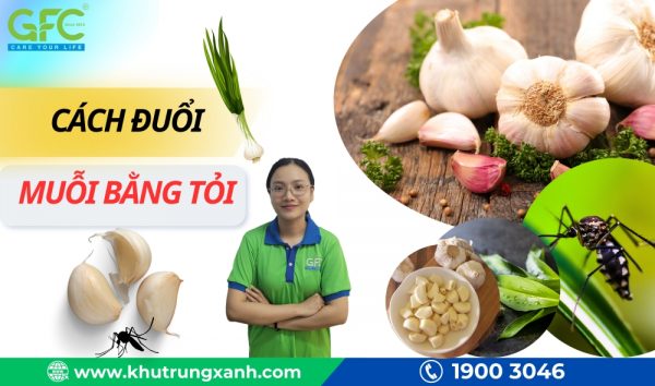 Cách đuổi muỗi bằng tỏi vô cùng đơn giản và hiệu quả tại nhà