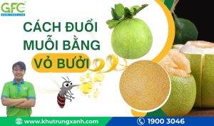 Cách đuổi muỗi bằng vỏ bưởi an toàn, hiệu quả cho cả gia đình