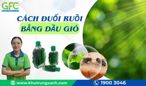 7 Cách đuổi ruồi bằng dầu gió hiệu quả ai cũng có thể làm