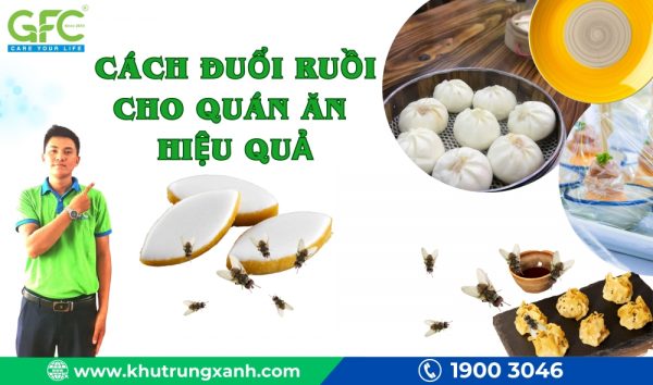 Cách đuổi ruồi cho quán ăn vô cùng hiệu quả lại an toàn