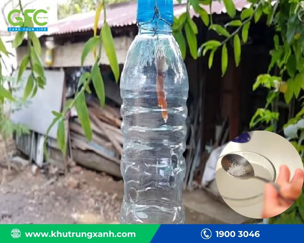 Cách diệt ruồi bằng chai nhựa và nước đường