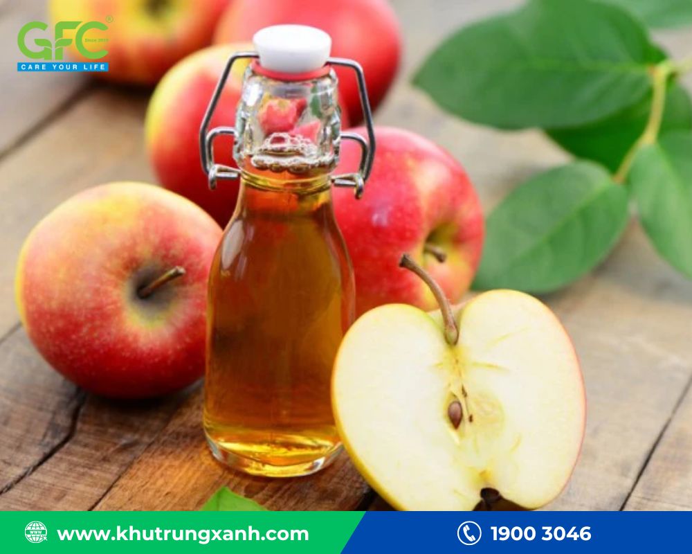 Bẫy ruồi vàng bằng giấm táo đơn giản, hiệu quả