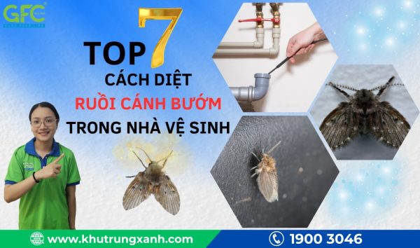 7 cách diệt ruồi cánh bướm trong nhà vệ sinh hiệu quả nhất