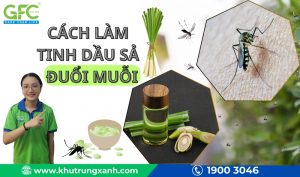 Cách làm tinh dầu sả đuổi muỗi an toàn, hiệu quả