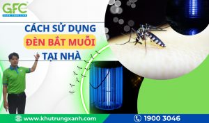 Cách sử dụng đèn bắt muỗi đơn giản và hiệu quả tại nhà