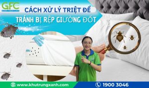 Cách diệt rệp giường hiệu quả, nhanh chóng nhất 2025