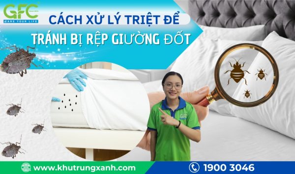 Cách diệt rệp giường hiệu quả, nhanh chóng nhất 2025