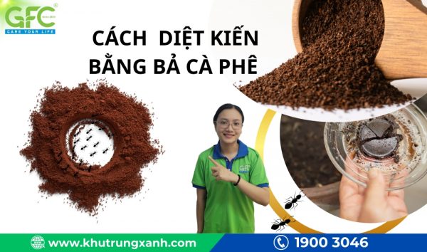 Cách diệt kiến bằng bã cà phê đơn giản, hiệu quả