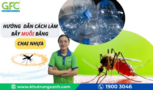 Hướng dẫn cách làm bẫy muỗi bằng chai nhựa đơn giản, hiệu quả