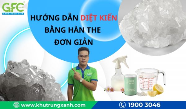 10+ Cách đuổi kiến trên cây đơn giản, hiệu quả bất ngờ