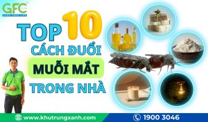 Top 10 cách đuổi muỗi mắt trong nhà đơn giản cho cả gia đình