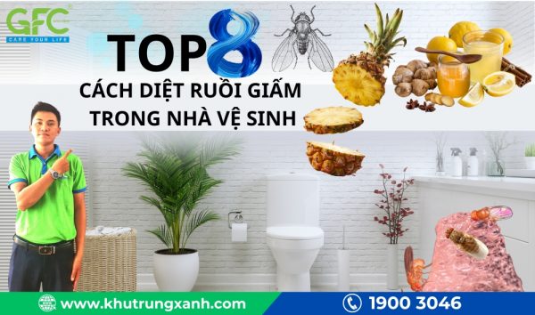 8 cách diệt ruồi giấm trong nhà vệ sinh hiệu quả