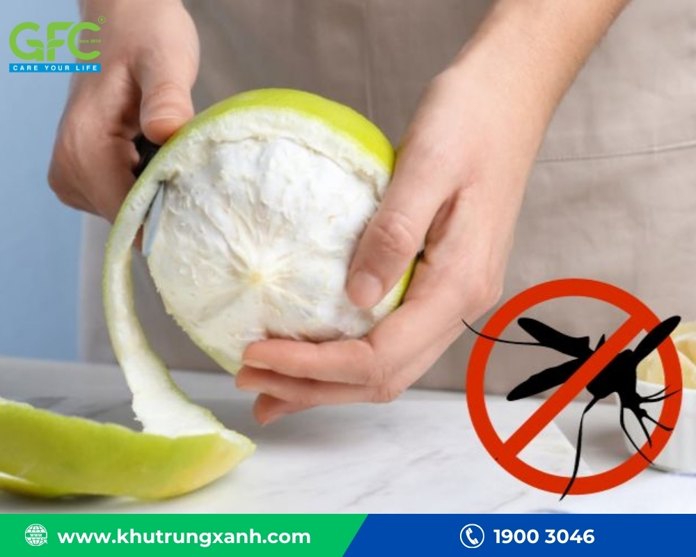 Sử dụng vỏ bưởi để đuổi muỗi là lựa chọn thông minh, an toàn và hiệu quả
