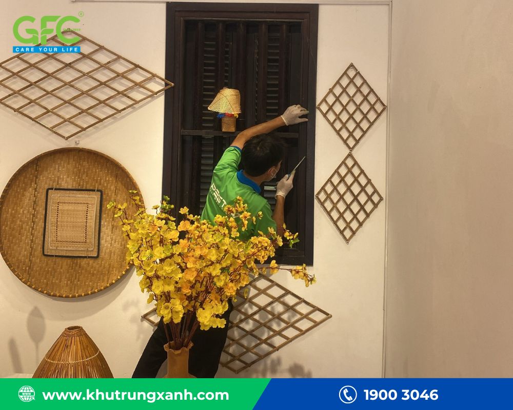 diệt mối tại quảng nam