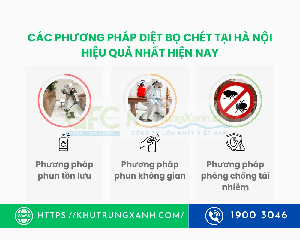 dịch vụ diệt bọ chét tại hà nội