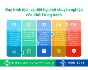 Dịch vụ diệt bọ chét tại Hà Nội tận gốc – Bảo hành 3-6 tháng
