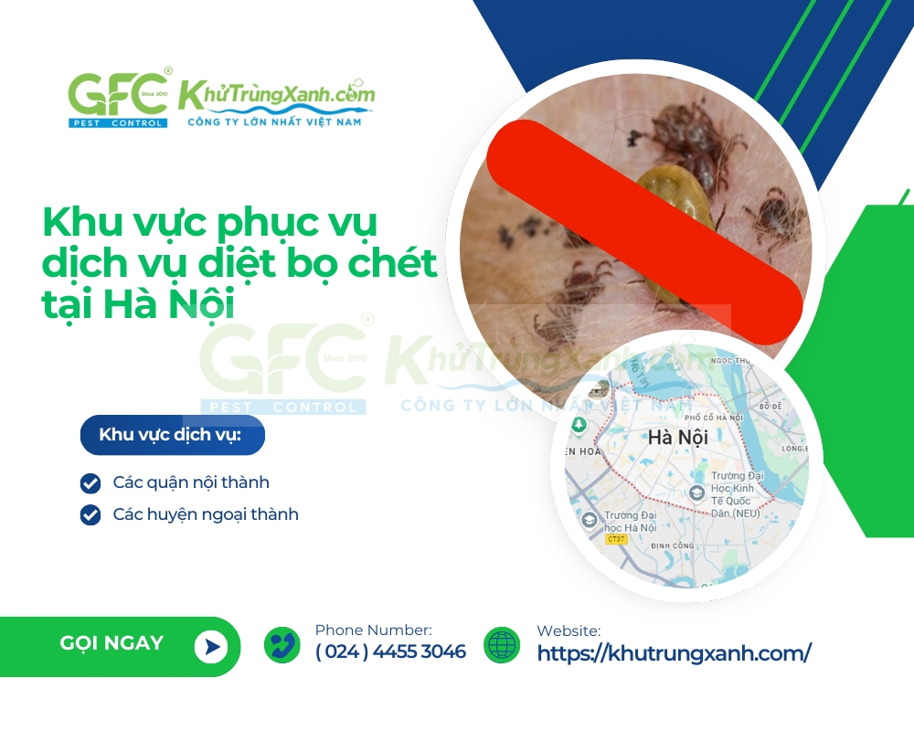 dịch vụ diệt bọ chét tại hà nội