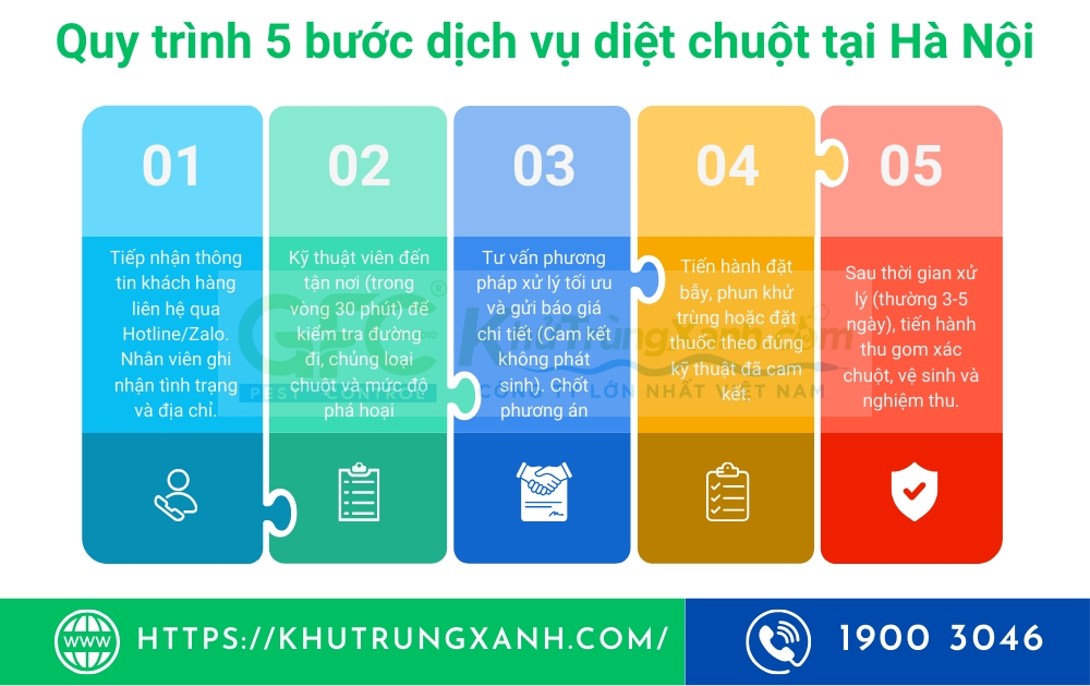 dịch vụ diệt chuột tại hà nội