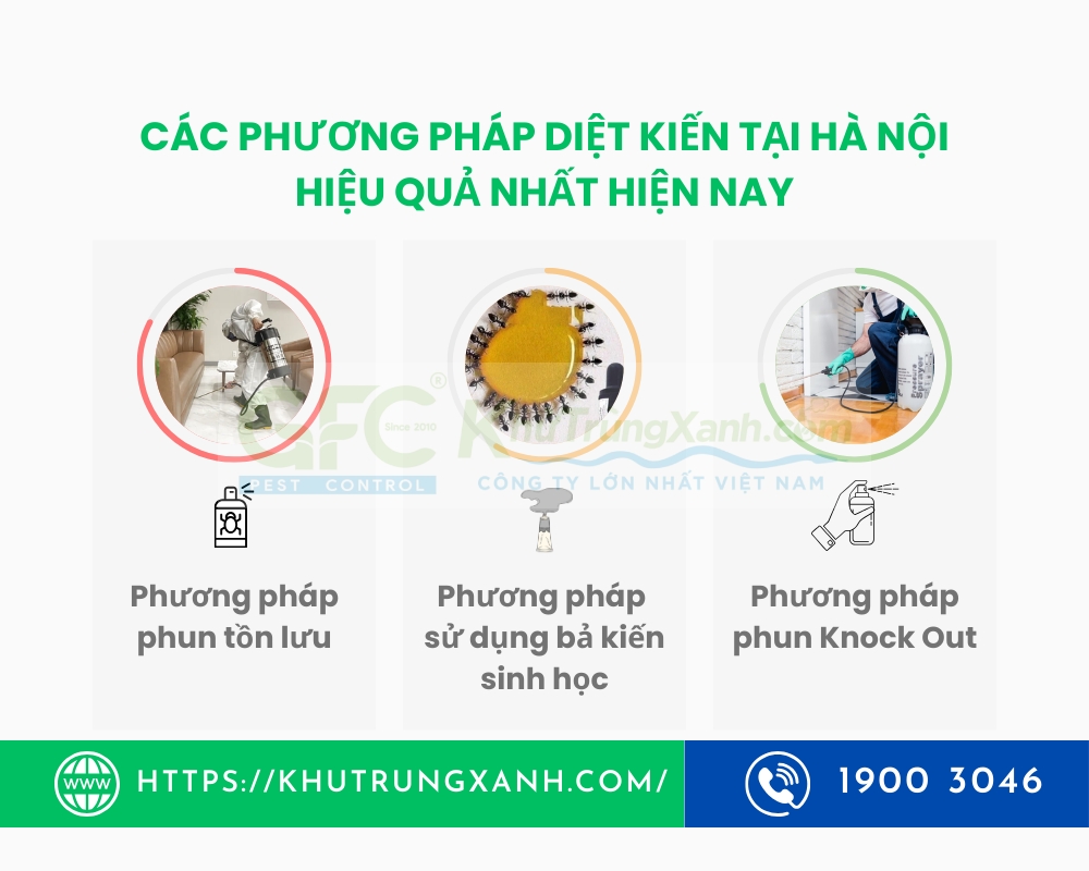 dịch vụ diệt kiến tại hà nội