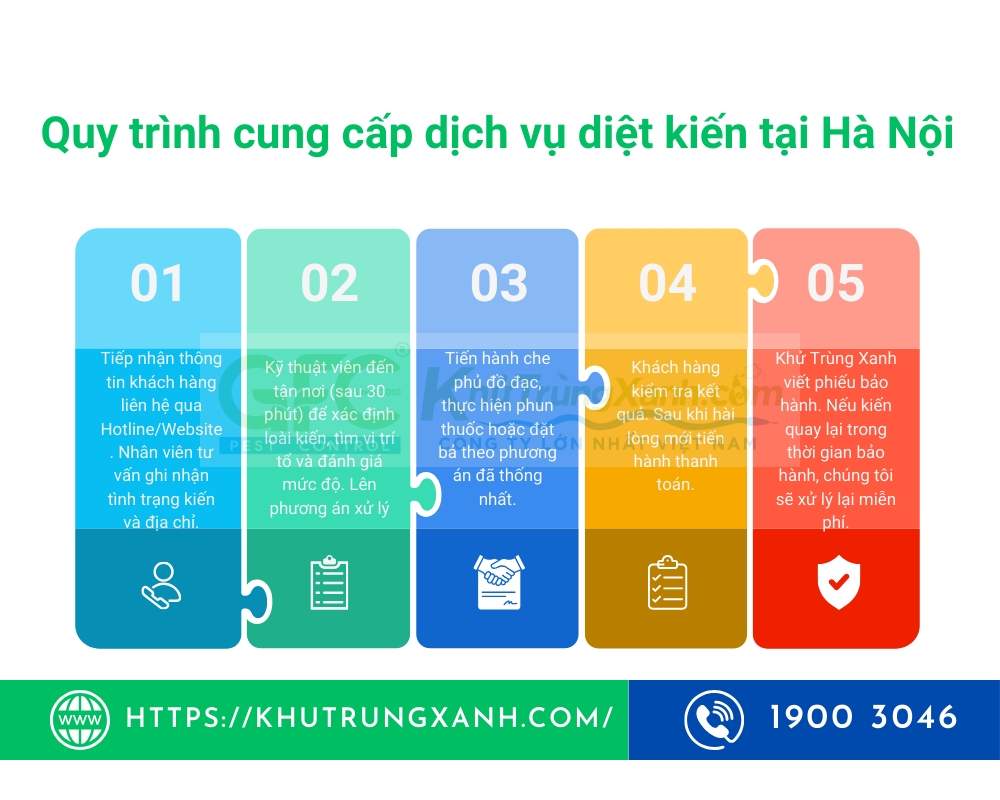 dịch vụ diệt kiến tại hà nội