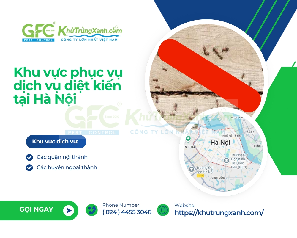dịch vụ diệt kiến tại hà nội