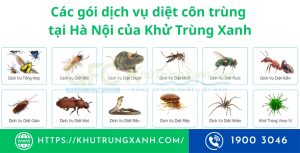 Dịch vụ diệt côn trùng tại Hà Nội chuyên nghiệp giá ưu đãi
