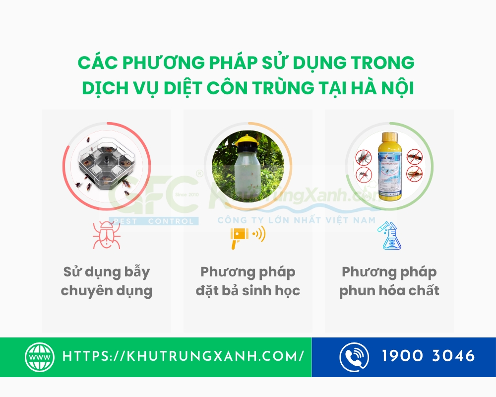 Dịch vụ diệt côn trùng tại hà nội