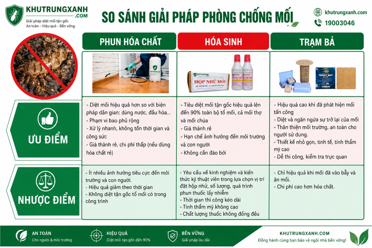 dịch vụ diệt mối
